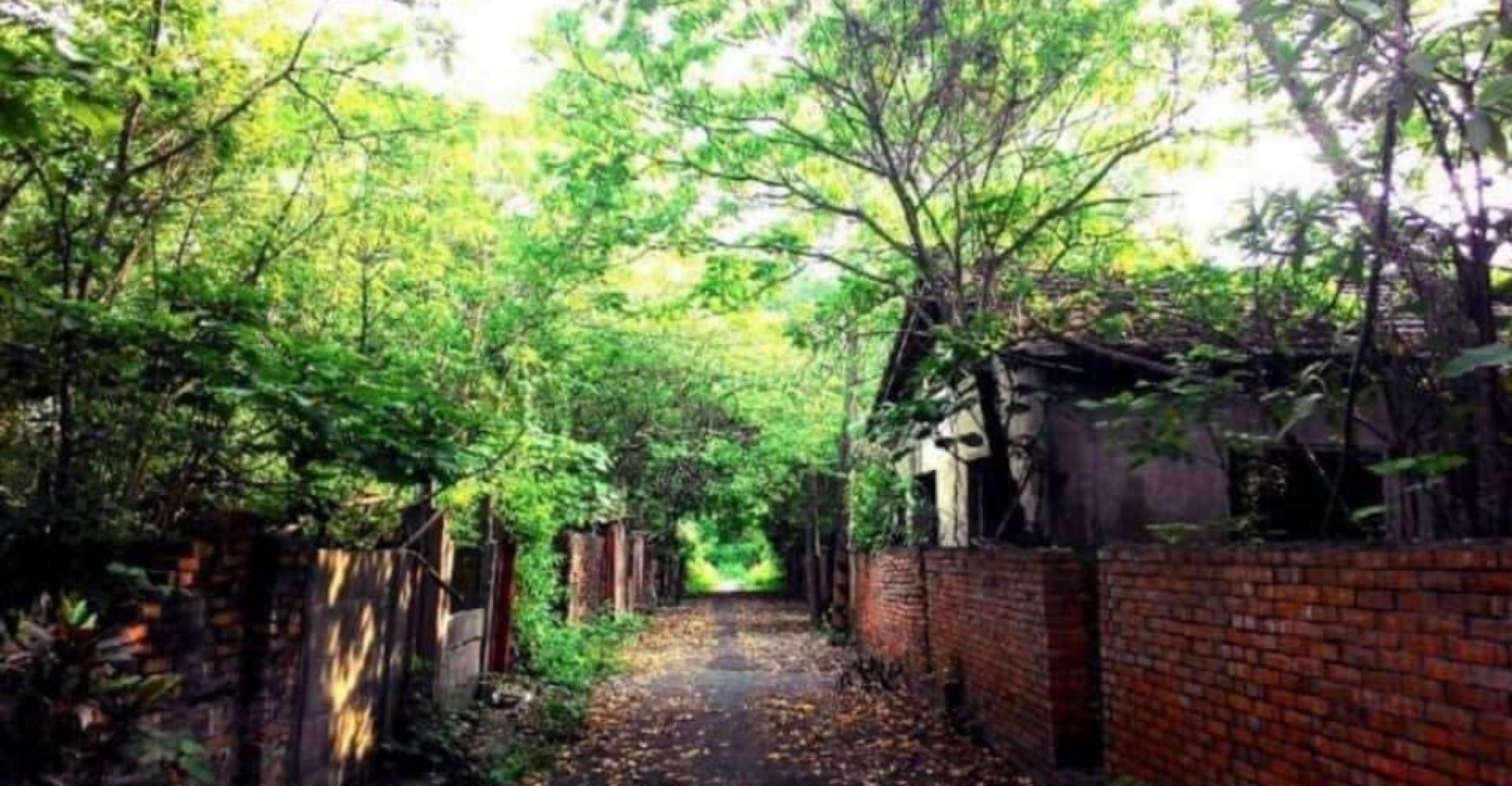 鵝湖民國學案藏經閣